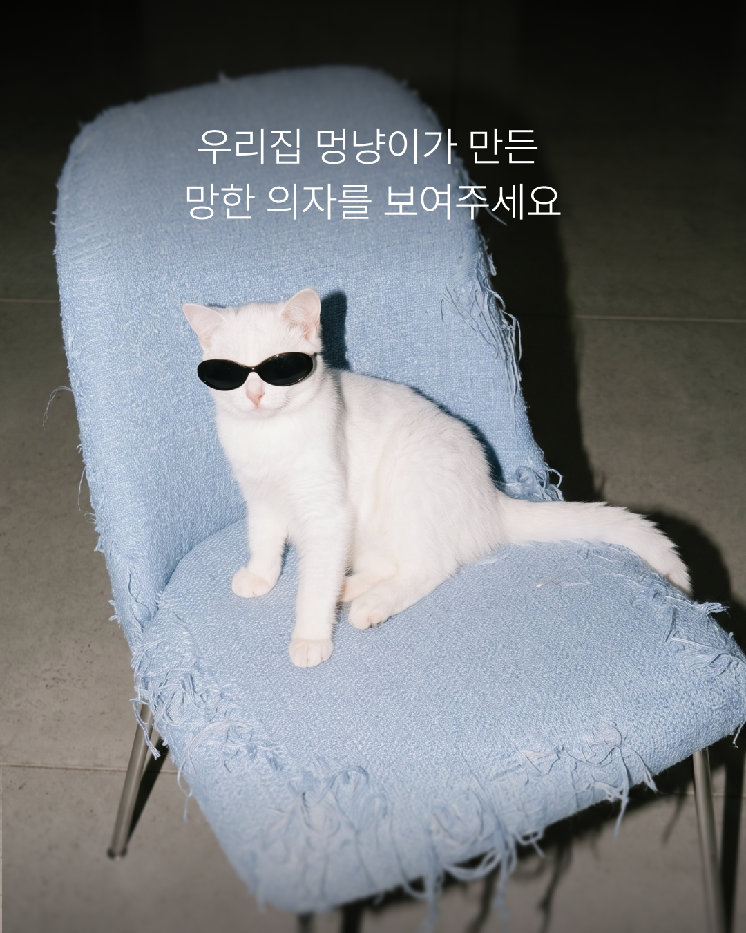 시디즈 망한 의자 대회