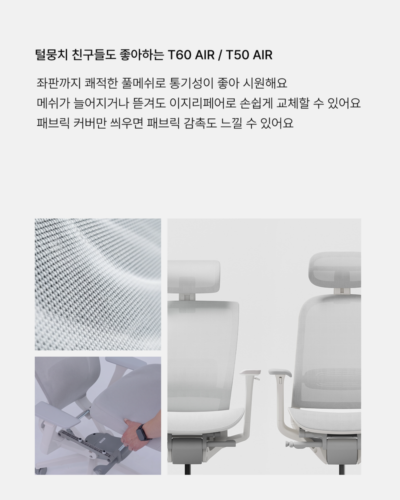 반려인 의자 더 알아보기