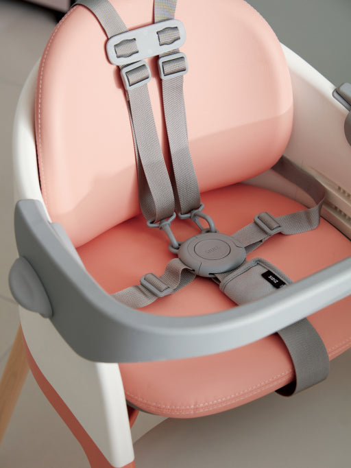 The MOLTI safety belt and bar