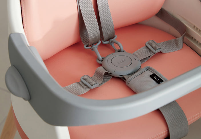 The MOLTI's safety bar and belt